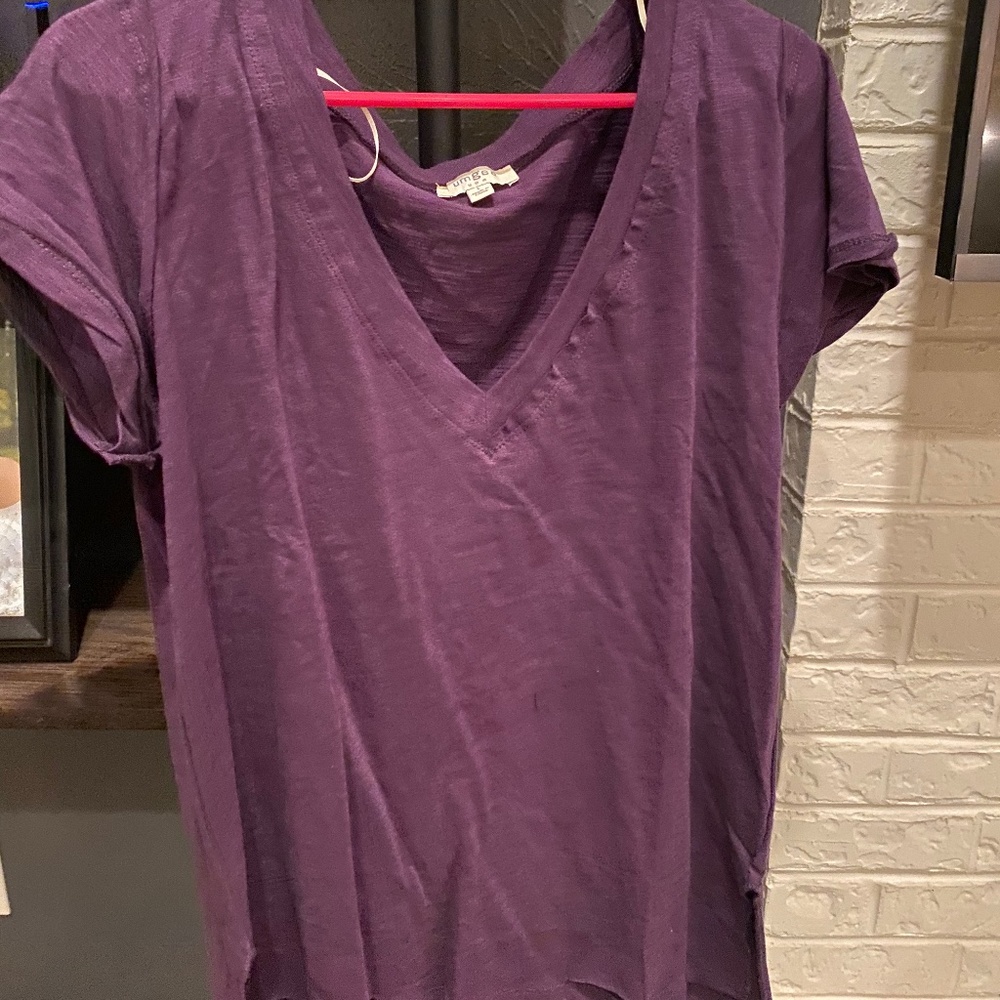 Purple Distressed Blouse